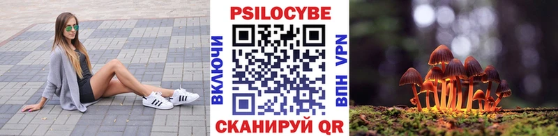 МЕГА маркетплейс  купить   Малая Вишера  Псилоцибиновые грибы Psilocybine cubensis 