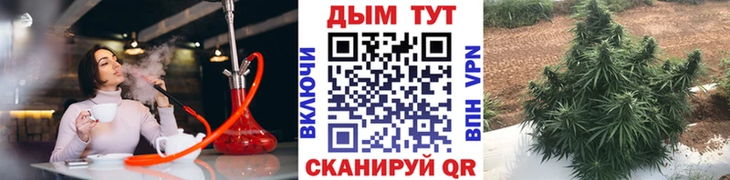 Конопля MAZAR  Малая Вишера 